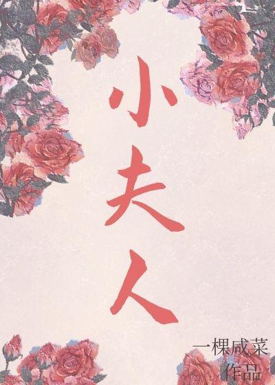 小夫人封面