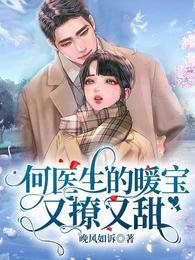 何医生的暖宝又撩又甜封面