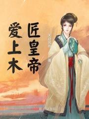 爱上木匠皇帝封面