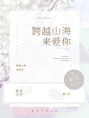 跨越山海来爱你封面