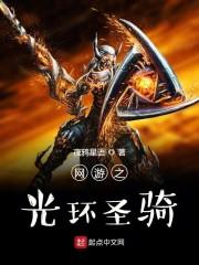 网游之光环圣骑封面