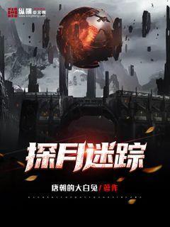 探月迷踪封面