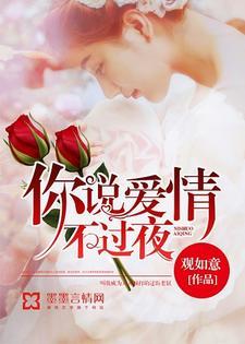 你说爱情不过夜封面