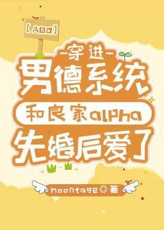 嫁给那个良家alpha封面
