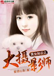 美女如云之大摄影师封面
