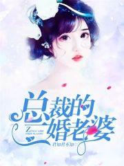 总裁的二婚老婆封面