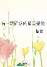 一颗陨落的星星封面