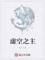 虚空之主封面