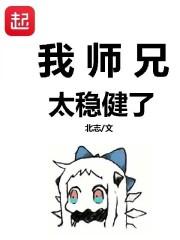 我师兄太稳健了封面