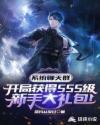 系统群：开局SSS级新手大礼包封面