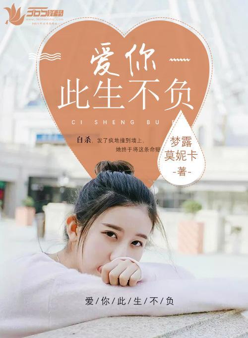 爱你此生不负封面