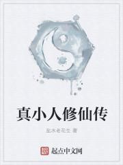 真小人修仙传封面