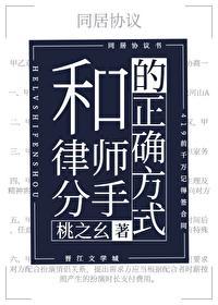 和律师分手的正确方式封面