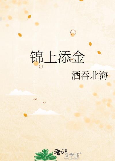 锦上添金封面