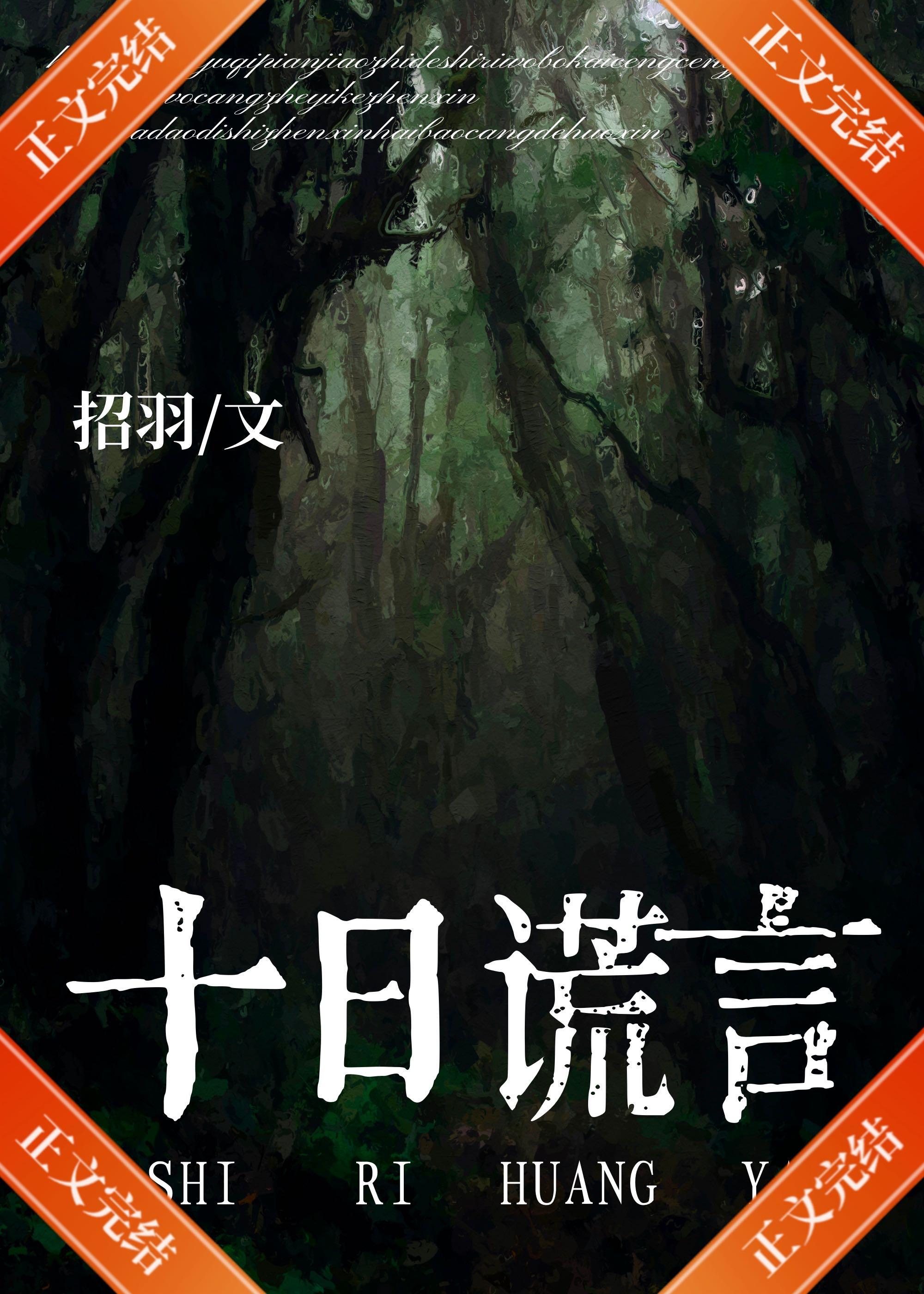 十日谎言封面