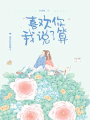 喜欢你我说了算封面