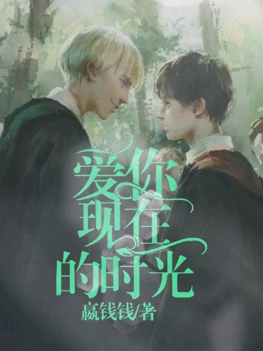 爱你现在的时光封面