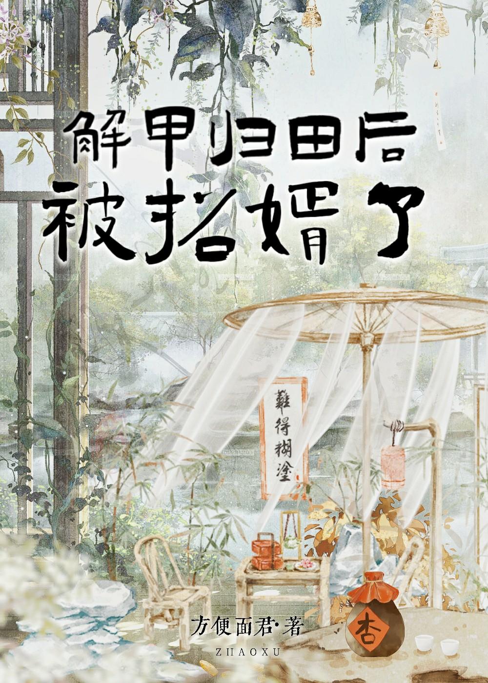 解甲归田后，被招婿了封面