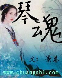琴魂封面
