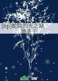 蛇院的光之缺德圣子封面