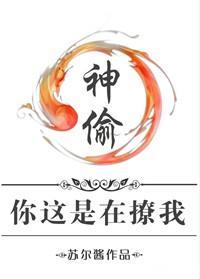 神偷，你这是在撩我封面