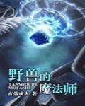 野兽的魔法师封面