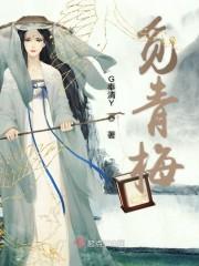 觅青梅封面