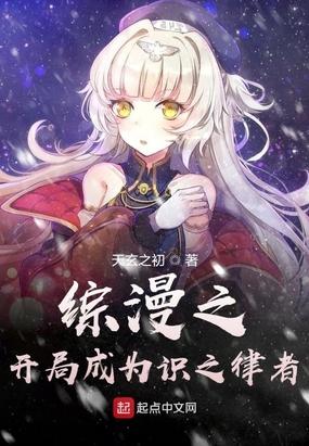 综漫之开局成为识之律者封面