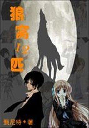 狼窝12匹封面