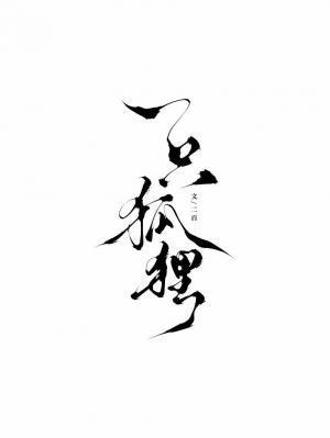 一只狐貍封面
