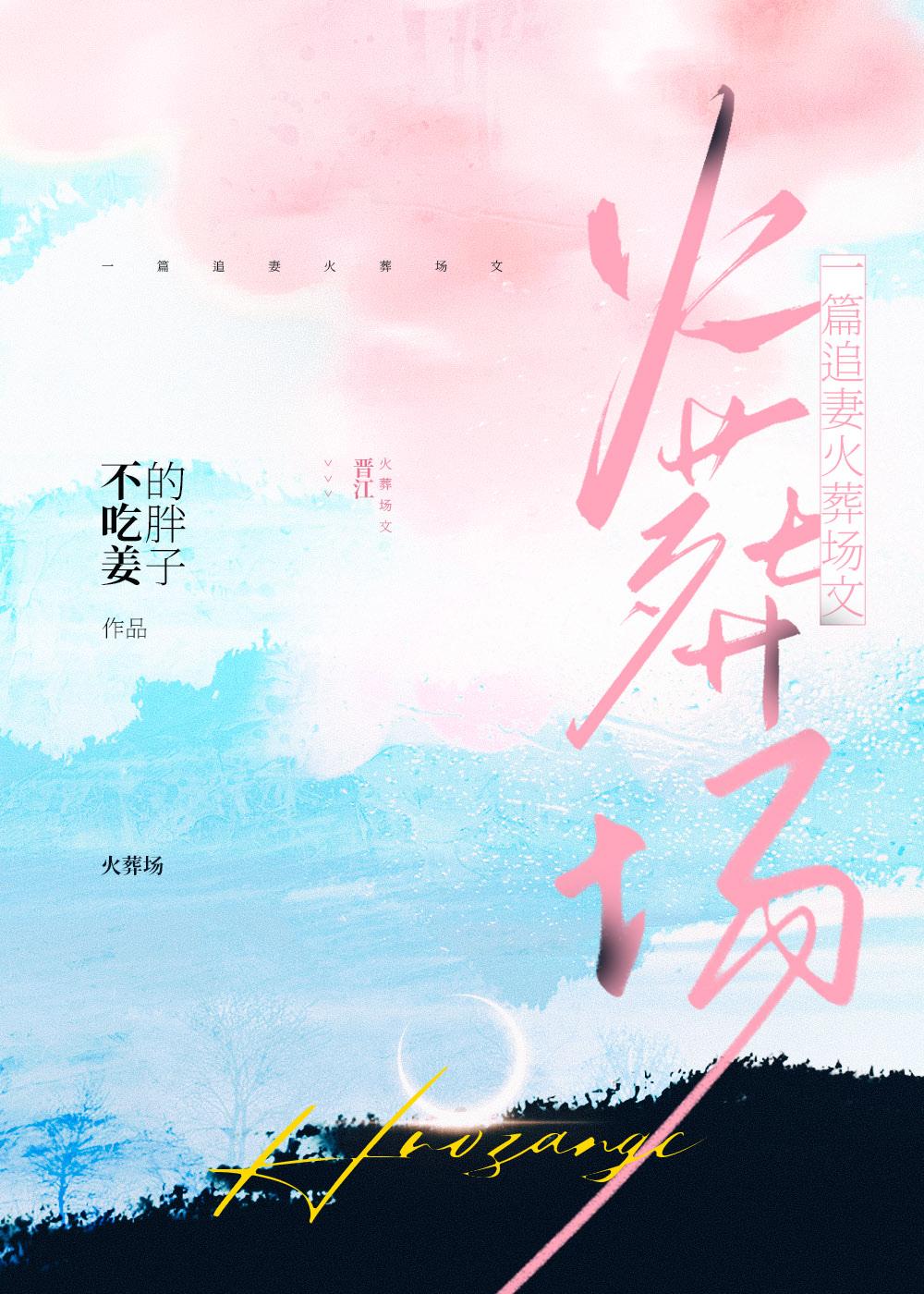 一篇追妻火葬场文封面