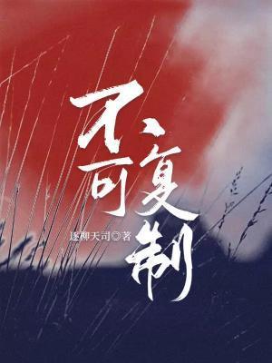 不可覆制封面