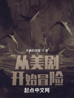 从美剧开始冒险封面
