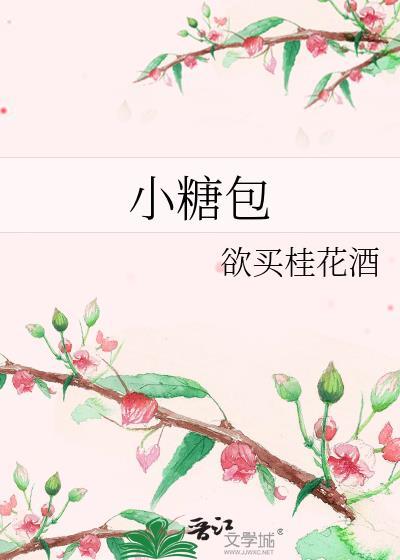 小糖包封面