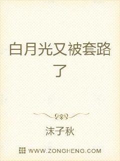 白月光又被套路了封面