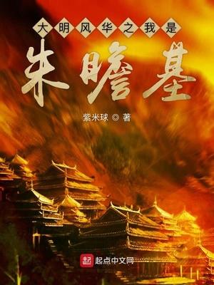 大明风华之我是朱瞻基封面