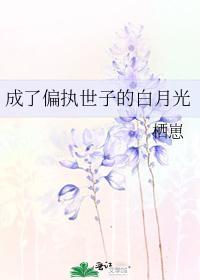 成了偏执世子的白月光封面