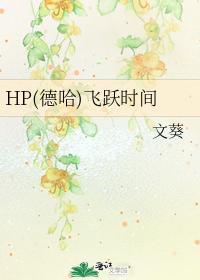 HP（德哈）飞跃时间封面