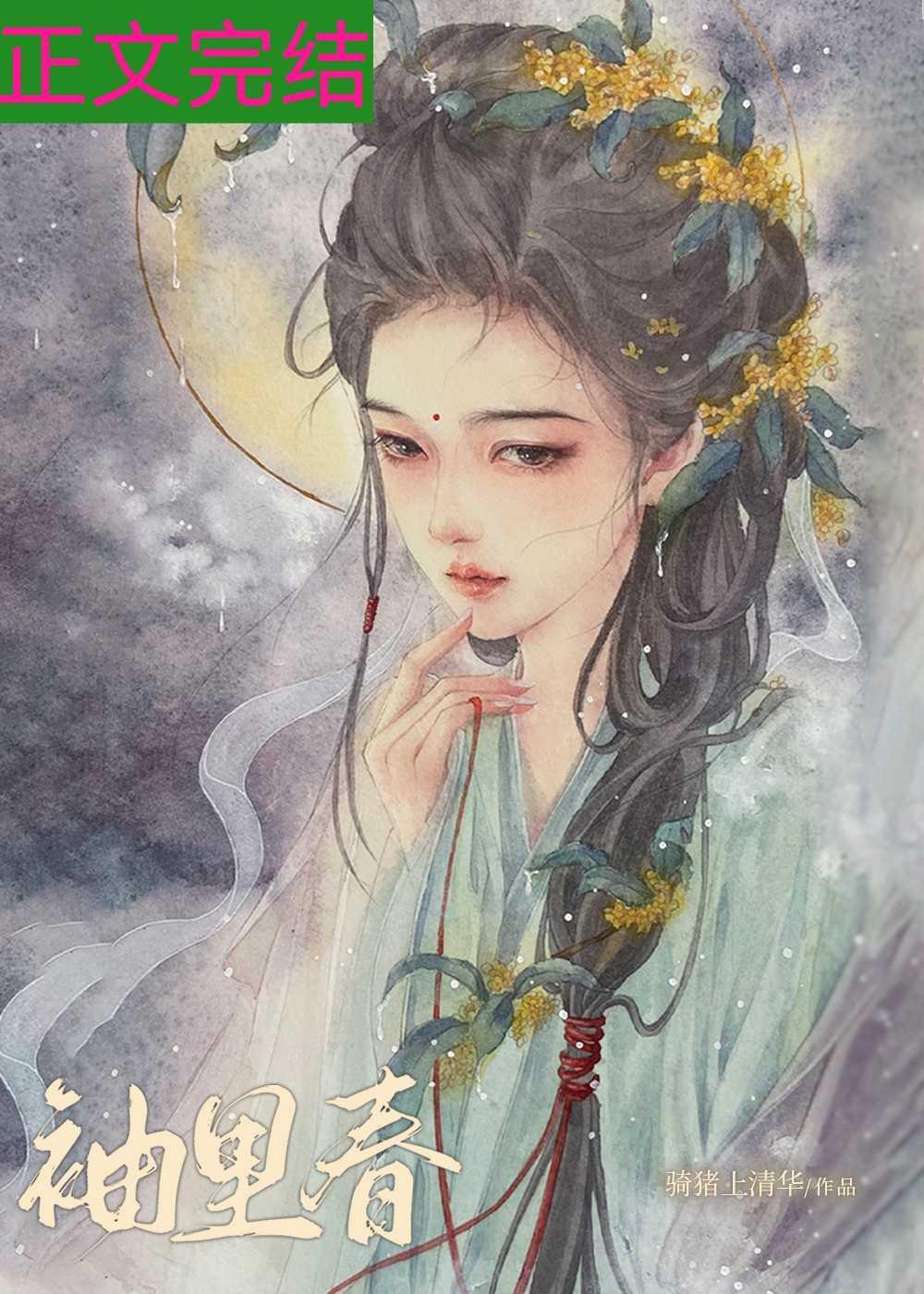 袖裏春封面