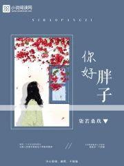 你好胖子封面
