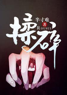揉碎封面