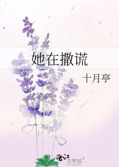 她在撒谎封面