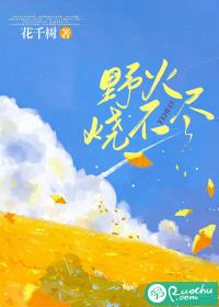 野火烧不尽封面