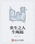 重生之人生崛起封面