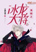 海贼之冰龙大将封面