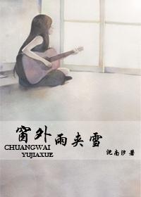 窗外雨夹雪封面