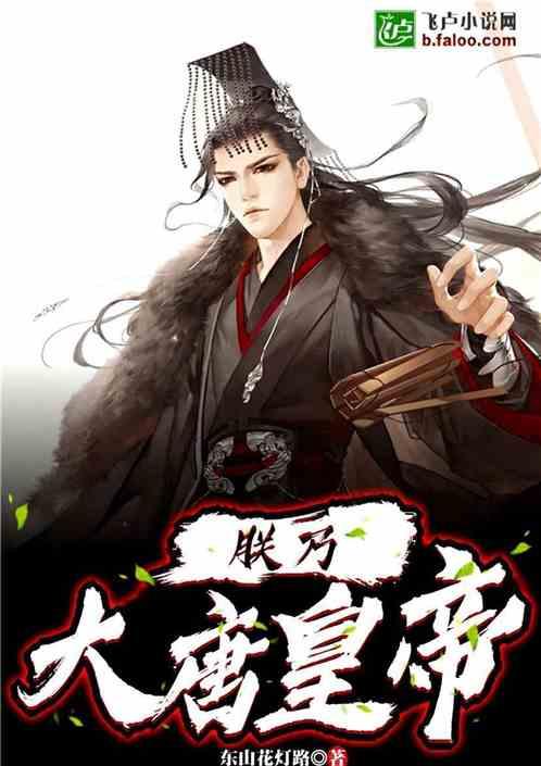 朕乃大唐皇帝封面
