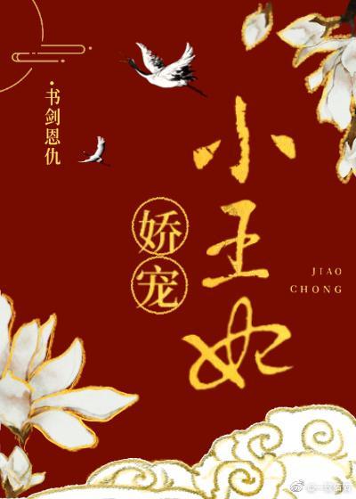娇宠小王妃封面