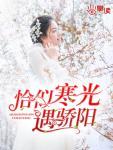 恰似寒光遇骄阳（慕容朵穆北辰）封面