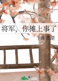 将军，你摊上事了封面